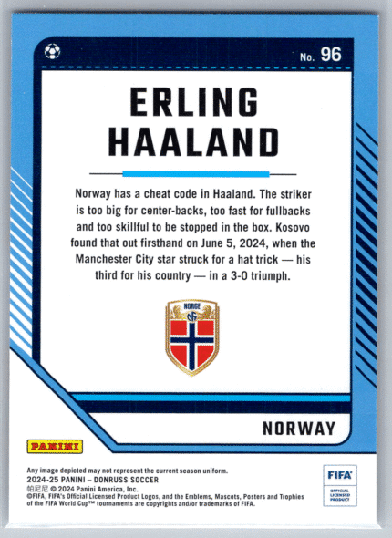 96 Erling Haaland Norway bak