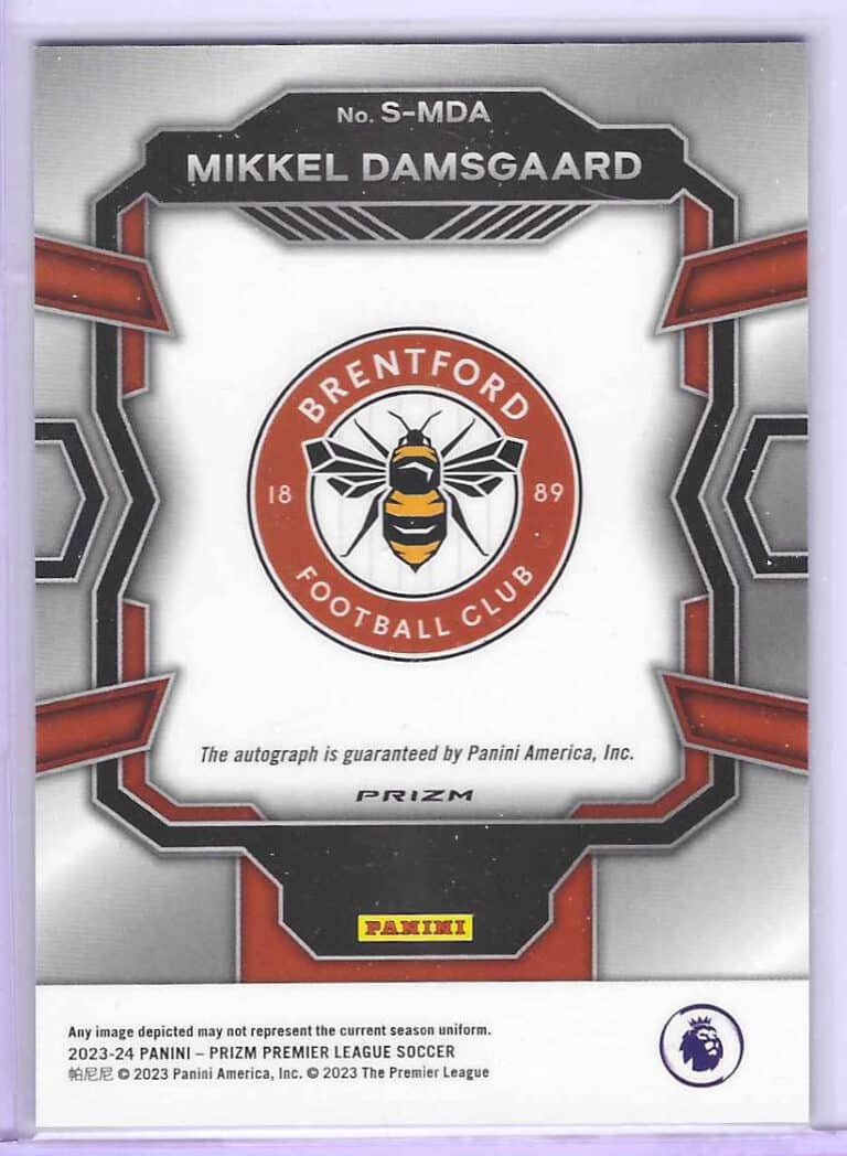 Damsgaard prizm auto bak