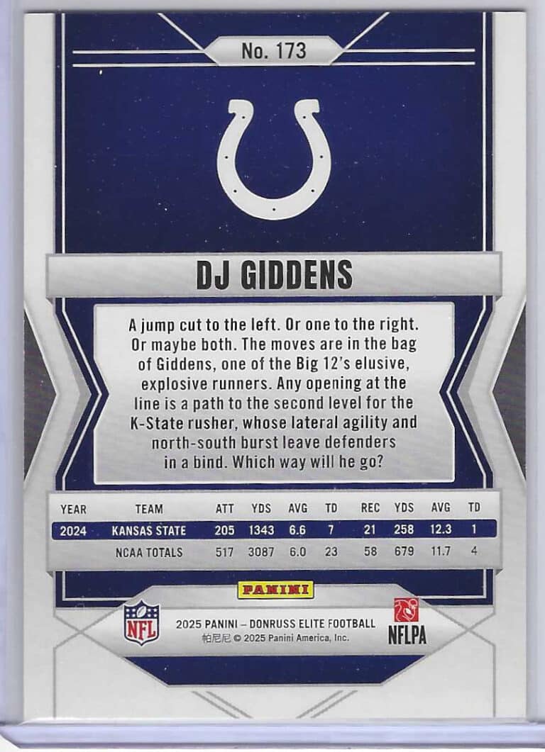 Dj Gidden silver bak