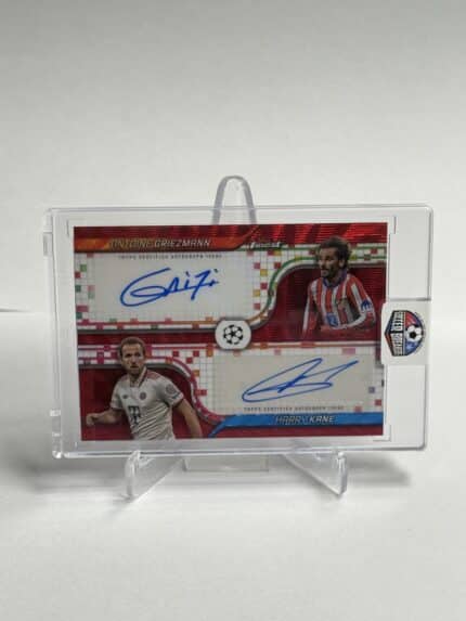 8016E9EB 9A96 48D9 AF65 D287C75CE457 – Kopi